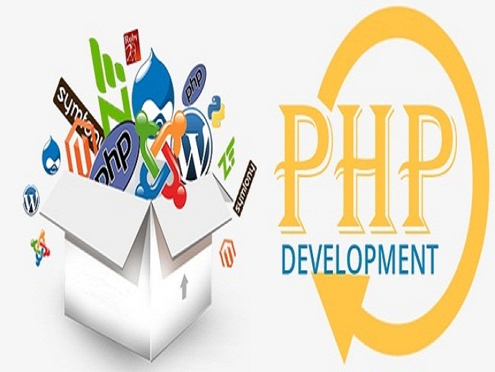 PHP Web Development Company Delhi NCR